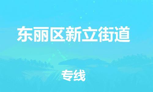 顺德区到东丽区新立街道物流专线-顺德区至东丽区新立街道运输公司，佛山到华北地区物流专线、顺德到华北地区物流专线、乐从到华北地区物流专线