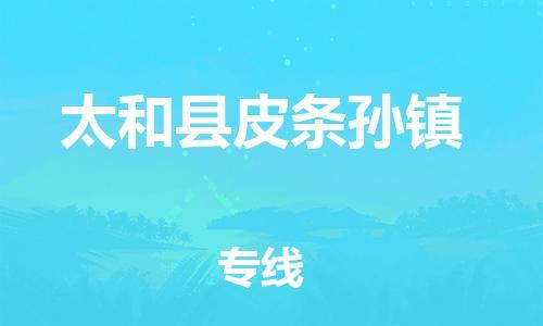 乐从镇到太和县皮条孙镇物流专线-乐从镇至太和县皮条孙镇运输公司-乐从到华东物流