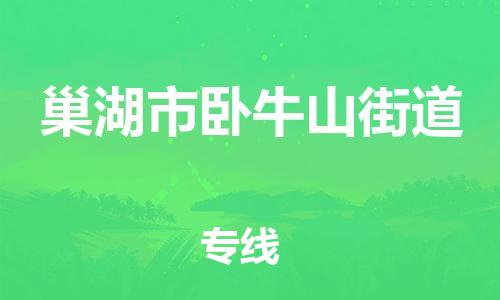 乐从镇到巢湖市卧牛山街道物流专线-乐从镇至巢湖市卧牛山街道运输公司-乐从到华东物流